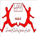 شبکه الکترونیک